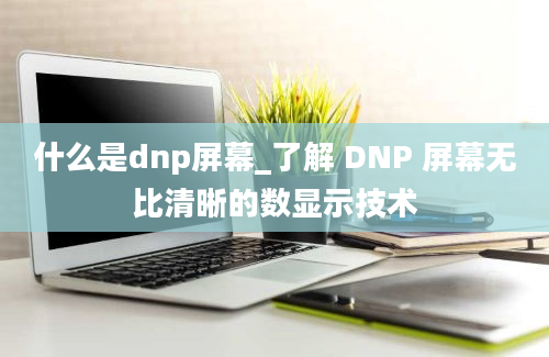 什么是dnp屏幕_了解 DNP 屏幕无比清晰的数显示技术