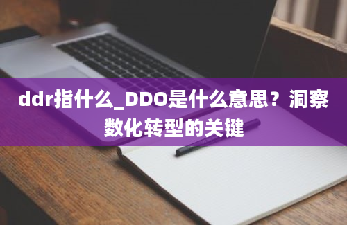 ddr指什么_DDO是什么意思？洞察数化转型的关键