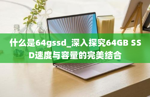 什么是64gssd_深入探究64GB SSD速度与容量的完美结合