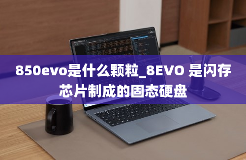 850evo是什么颗粒_8EVO 是闪存芯片制成的固态硬盘