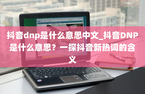 抖音dnp是什么意思中文_抖音DNP是什么意思？一探抖音新热词的含义