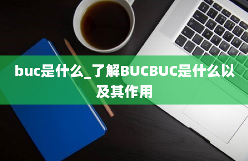buc是什么_了解BUCBUC是什么以及其作用