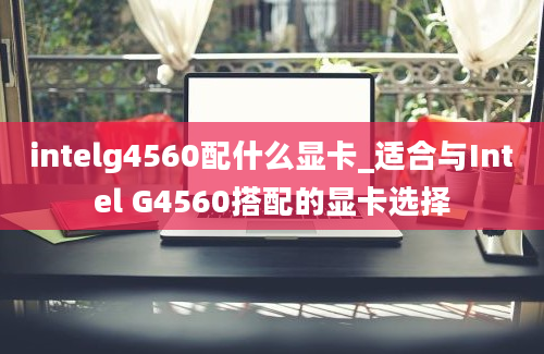 intelg4560配什么显卡_适合与Intel G4560搭配的显卡选择