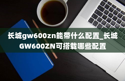 长城gw600zn能带什么配置_长城GW600ZN可搭载哪些配置