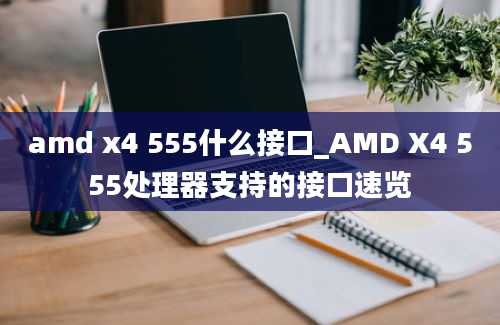 amd x4 555什么接口_AMD X4 555处理器支持的接口速览