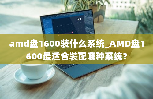 amd盘1600装什么系统_AMD盘1600最适合装配哪种系统？
