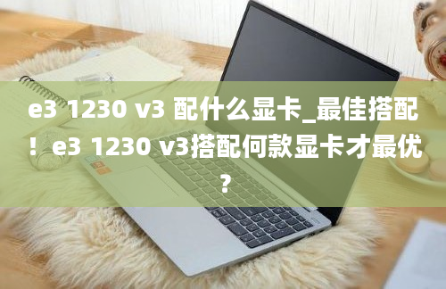 e3 1230 v3 配什么显卡_最佳搭配！e3 1230 v3搭配何款显卡才最优？