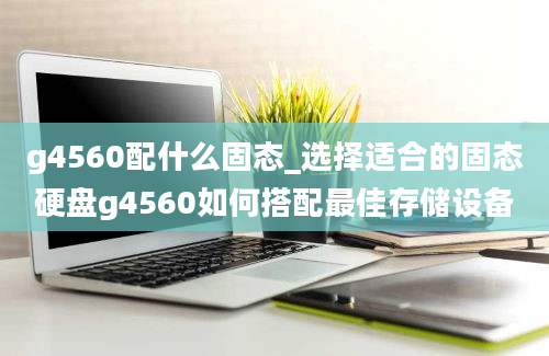 g4560配什么固态_选择适合的固态硬盘g4560如何搭配最佳存储设备