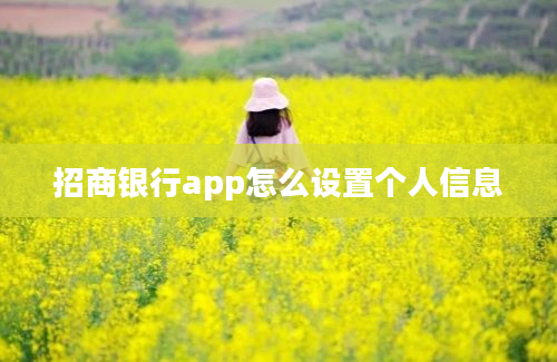 招商银行app怎么设置个人信息