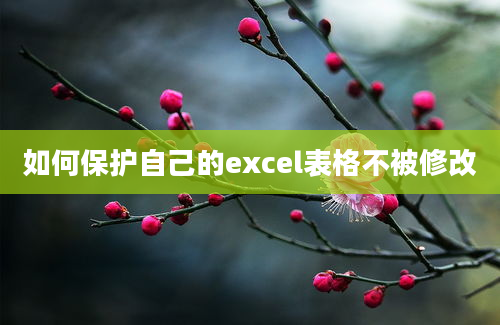 如何保护自己的excel表格不被修改