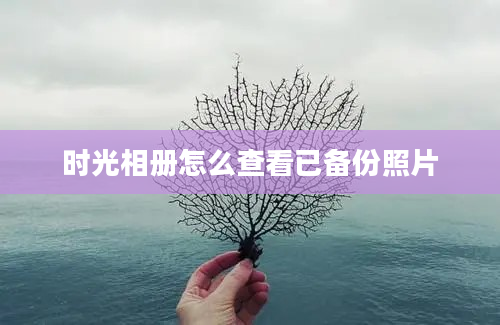 时光相册怎么查看已备份照片