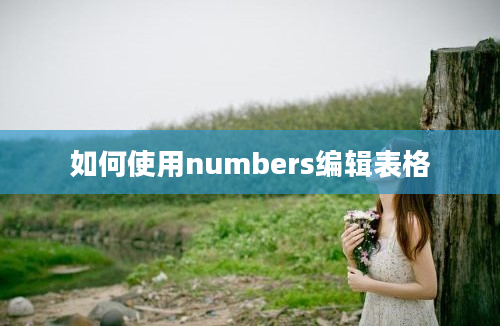 如何使用numbers编辑表格