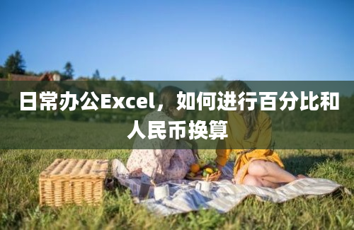 日常办公Excel，如何进行百分比和人民币换算