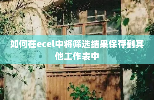 如何在ecel中将筛选结果保存到其他工作表中