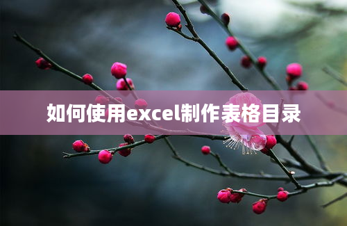 如何使用excel制作表格目录