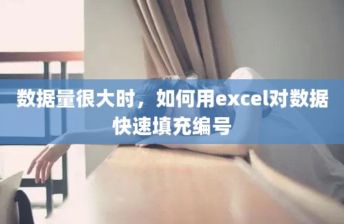 数据量很大时，如何用excel对数据快速填充编号