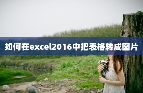 如何在excel2016中把表格转成图片