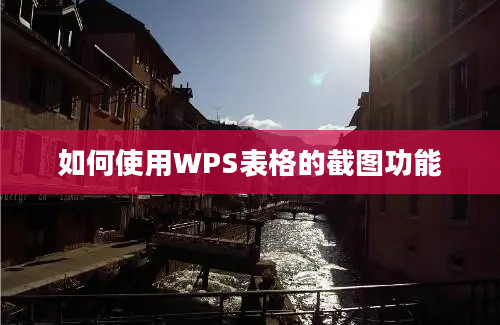 如何使用WPS表格的截图功能