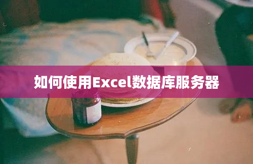 如何使用Excel数据库服务器