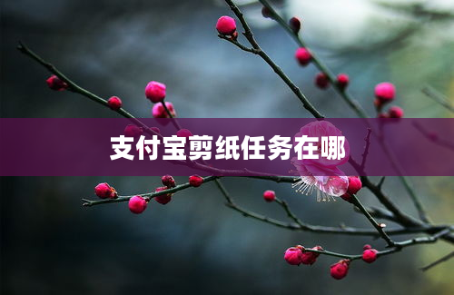 支付宝剪纸任务在哪