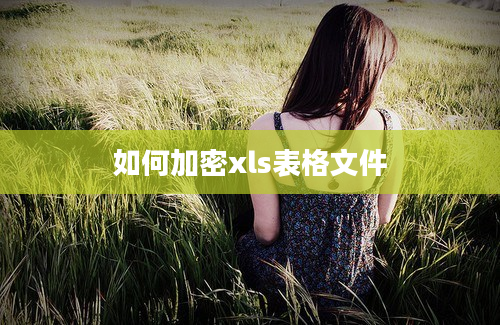 如何加密xls表格文件