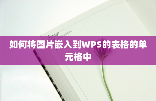 如何将图片嵌入到WPS的表格的单元格中