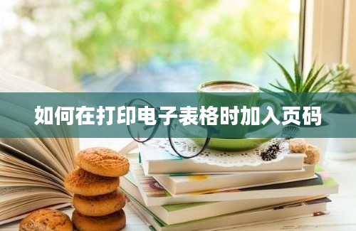 如何在打印电子表格时加入页码