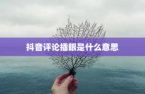 抖音评论插眼是什么意思