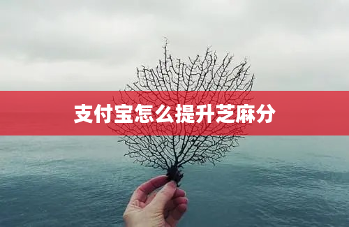 支付宝怎么提升芝麻分