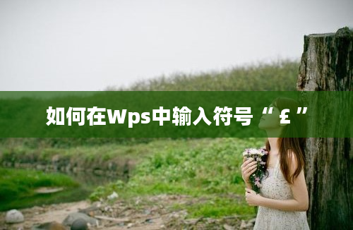 如何在Wps中输入符号“￡”