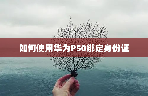 如何使用华为P50绑定身份证