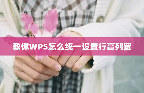 教你WPS怎么统一设置行高列宽