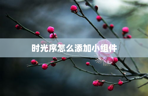 时光序怎么添加小组件