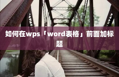 如何在wps「word表格」前面加标题