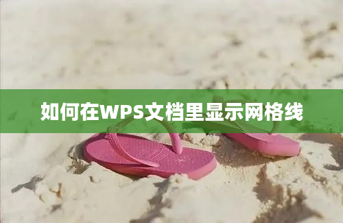 如何在WPS文档里显示网格线