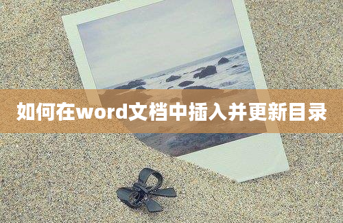 如何在word文档中插入并更新目录