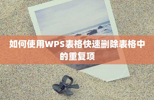 如何使用WPS表格快速删除表格中的重复项