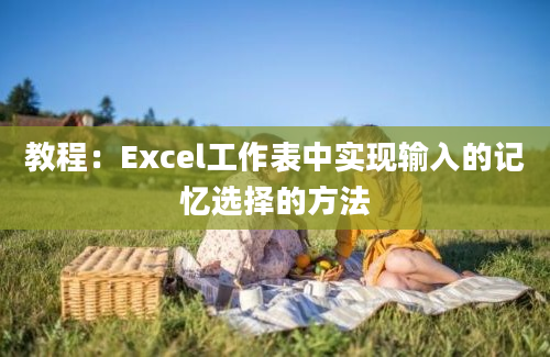 教程：Excel工作表中实现输入的记忆选择的方法