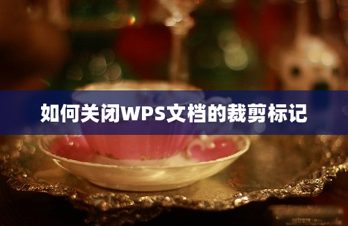 如何关闭WPS文档的裁剪标记