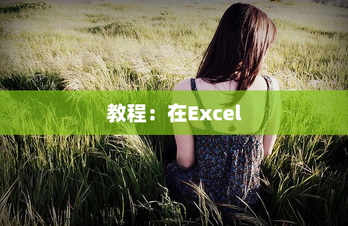 教程：在Excel