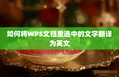 如何将WPS文档里选中的文字翻译为英文