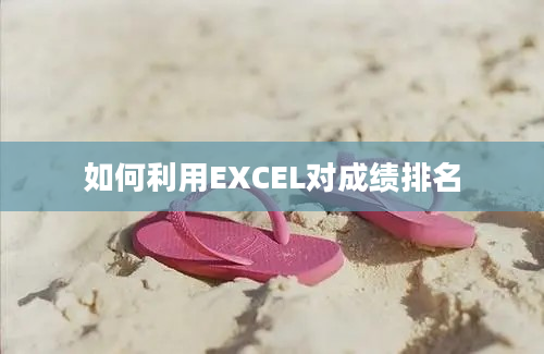 如何利用EXCEL对成绩排名