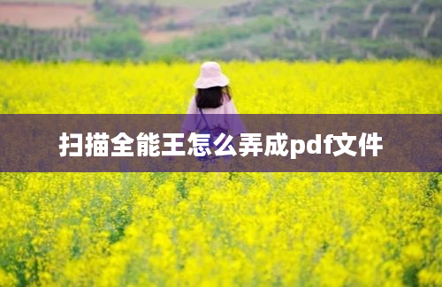 扫描全能王怎么弄成pdf文件