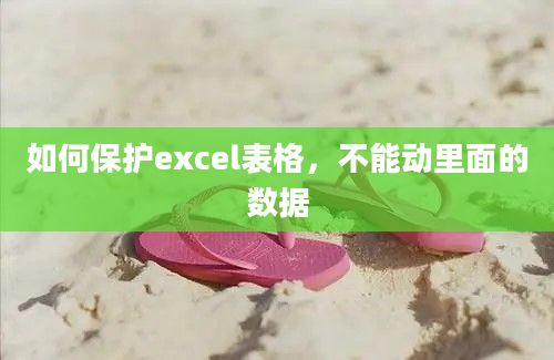 如何保护excel表格，不能动里面的数据