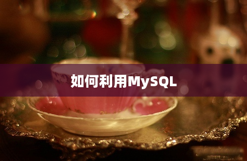 如何利用MySQL