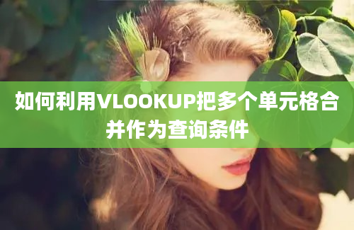 如何利用VLOOKUP把多个单元格合并作为查询条件