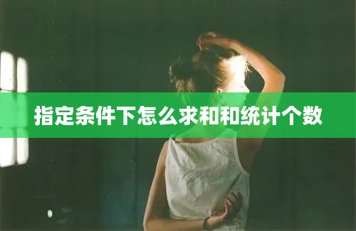 指定条件下怎么求和和统计个数