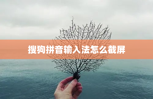 搜狗拼音输入法怎么截屏