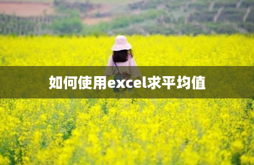 如何使用excel求平均值