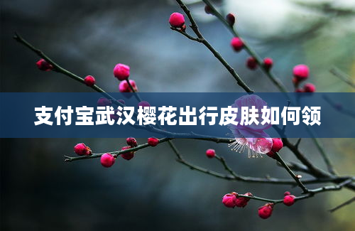 支付宝武汉樱花出行皮肤如何领